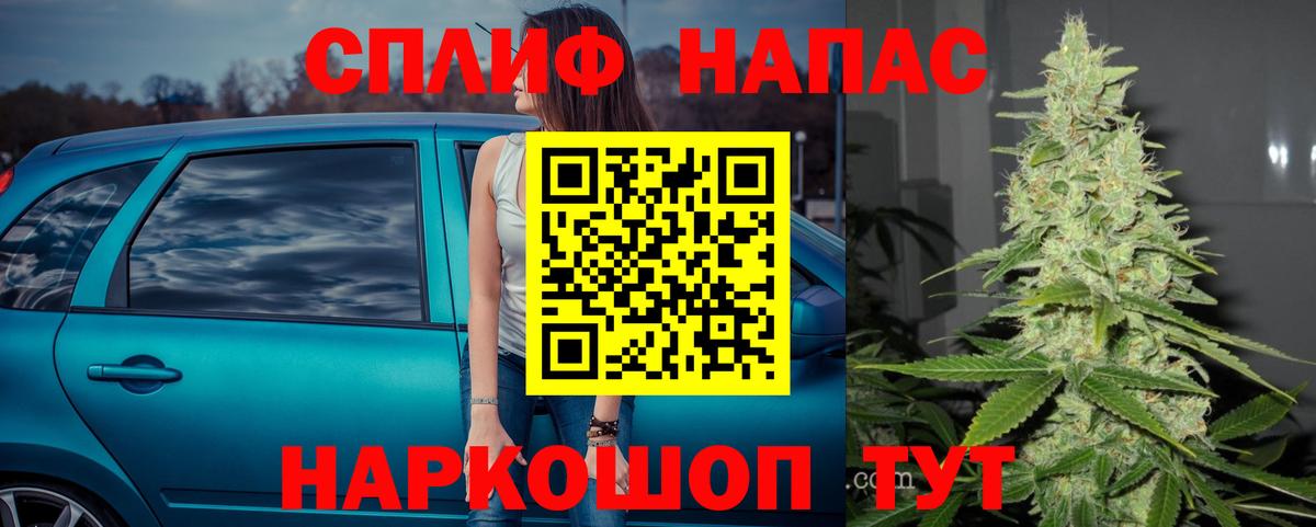 Конопля Bruce Banner  Вход с VPN  Марихуана индика  Марихуана семена  Пенза  Конопля VHQ 